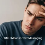 SMH Mean in Text Messaging